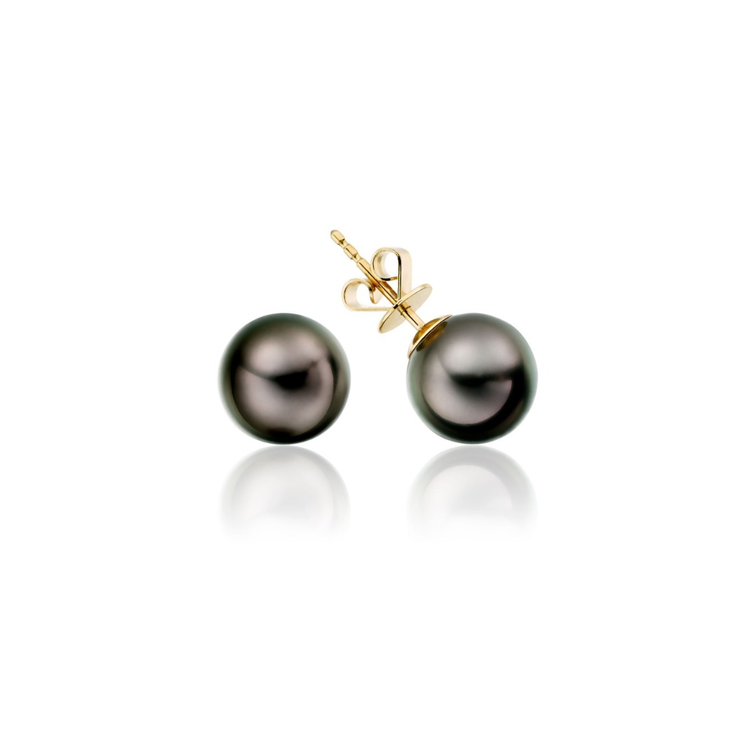 Tahitian pearl studs