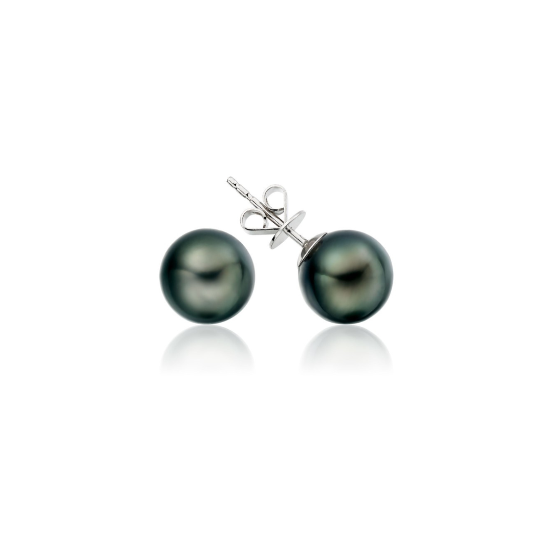 Tahitian pearl studs