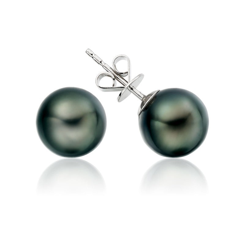 Tahitian pearl studs in white gold